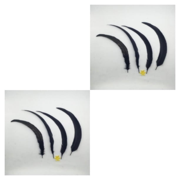 Cateissary Wholesale Quality Beautiful 10PCS Dyeing Feathers Tail Negro 2Conjunto