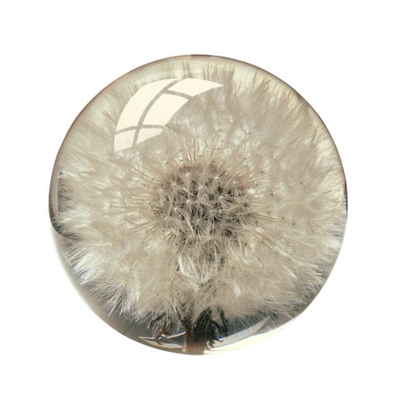 Optical Crystal Diamond Paperweight - Dandelion Paperweight - Crystal Clear Resin with Dandilion Puff Inside - 2 3/8