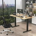 Dual Motor Electric Standing Desk Frame Ergonomic Height Adjustable
