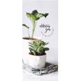 thumbnail image 2 of ICare- Delightful Birthday Card Package, 2 of 6