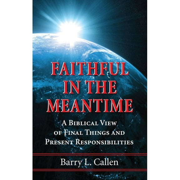 Faithful in the Meantime (Hardcover)