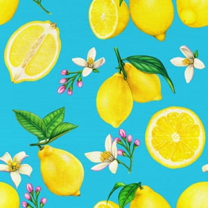 (2 pack) Half-Yard 100% Cotton Lemon Toss, Teal, Yellow, 44" Wide for Quilting & Sewing by David Textiles