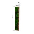 thumbnail image 2 of Rectangular Mixed Moss Wall Art Small, 2 of 3
