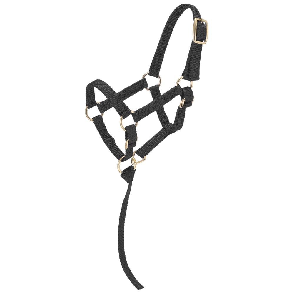 Tough-1 Standard Nylon Draft Halter with Adjustable Nose and Crown 