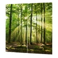 thumbnail image 2 of Cortina de Bosques, Paisaje Natural, Bosque Luz Solar Impresión Sombreado Ventana Cortinas para el Hogar, Balcón, Dormitorio, Sala de Estar(150 * 166cm), 2 of 14
