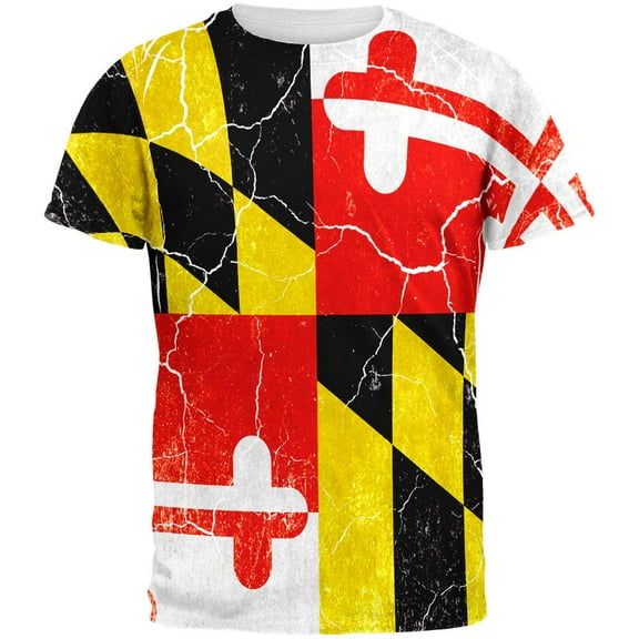 Maryland Vintage Distressed State Flag All Over Mens T Shirt Multi X-LG