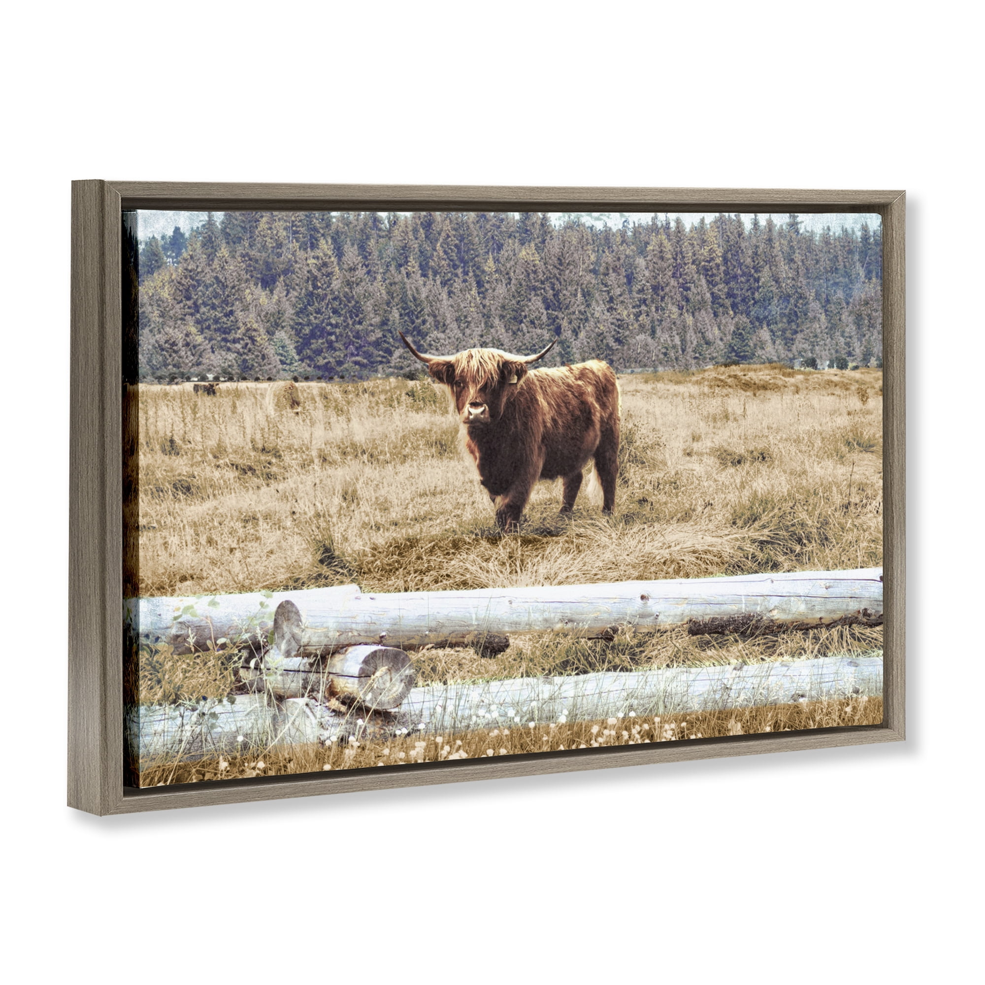 Stupell Industries Country Cattle with Fence Animals & Insects Photography Brown Floater Framed Canvas Art Print Wall Art, 25 x 17
