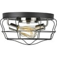 thumbnail image 4 of Progress Lighting, Gauge Collection, 2-Light Flush Mount, Graphite Finish, Open Cage Design, Steel Frame, 4 of 4