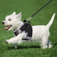 thumbnail image 3 of Sehao Dog Harness for Small Medium Large Dogs No Pull Puppy Harness and Leash Set Dog Harness for Walking Running Training Small Dog Harness Medium Dog Harness (Black&White S), 3 of 4