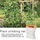 thumbnail image 3 of Red de enrejado de 1,6 * 5 m, diseño de red de enrejado de poliéster resistente para escalar frutas y verduras, cultivos hidropónicos, Garden Twist Tie Inc ACTIVE Biensenido a ACTIVE, 3 of 5