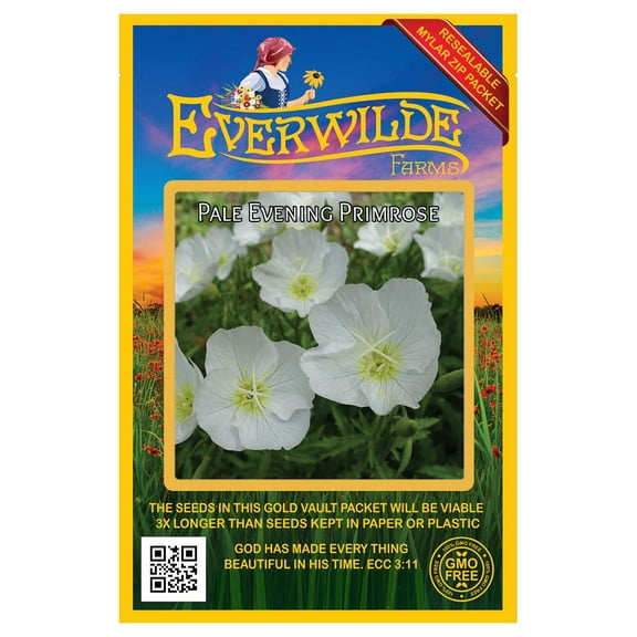 Everwilde Farms - 2000 Pale Evening Primrose Native Wildflower Seeds - Gold Vault Jumbo Bulk Seed Packet
