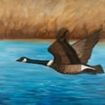 thumbnail image 2 of Atelier B Art Studio 15x15 Black Ornate Wood Framed with Double Matting Museum Art Print Titled - Flying Bustard, 2 of 4