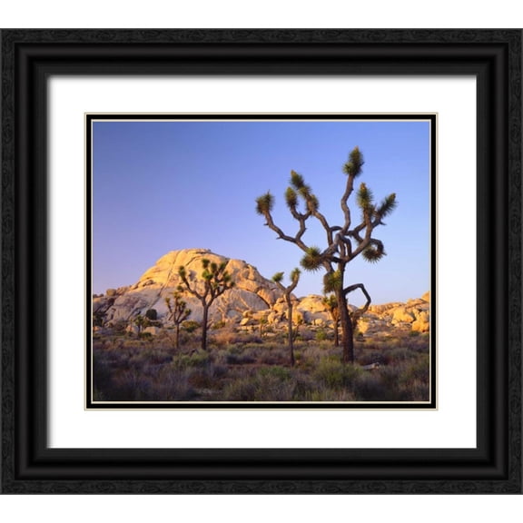 Talbot Frank, Christopher 30x26 Black Ornate Wood Framed with Double Matting Museum Art Print Titled - California, Joshua Tree NP Desert Landscape