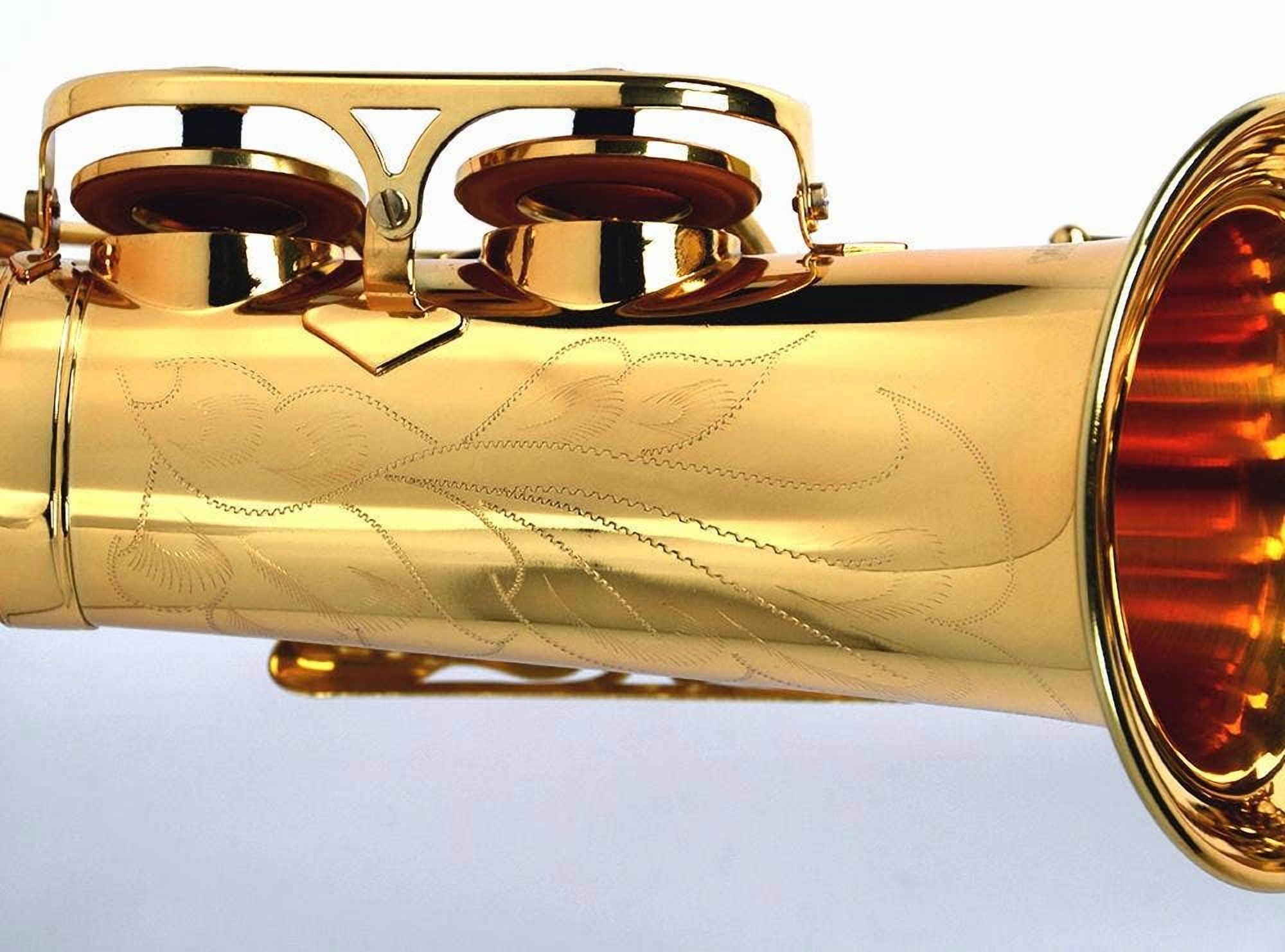 Benjamin Adams AS100 Beginner Alto Saxophone