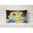 thumbnail image 2 of Carolines Treasures AMB1174PW1216 Airedale Terrier Mommas Quilt Fabric Decorative Pillow 12H x16W multicolor, 2 of 3