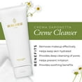 thumbnail image 3 of Crema limpiadora Borghese Crema Saponetta de limpieza profunda 200 ml, 3 of 6