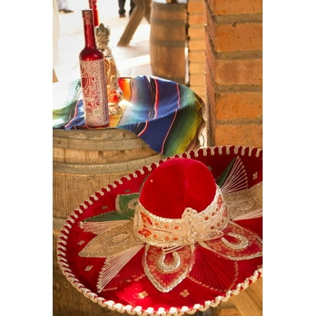 - Canopy River, Tequila, Puerto Vallarta, Jalisco, Mexico Print Wall Art By Douglas Peebles