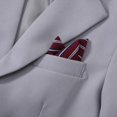 thumbnail image 3 of Conjunto de trajes DISAUR Formal Slim Fit para niños de 9 a 10 años, 6 unidades, 3 of 6