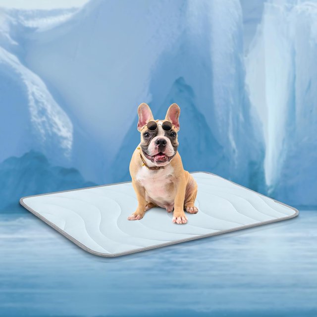 Dog Cooling Mat, Medium Cooling Mat for Dogs, Reversible Pad for Dog, 36" L x 23" W,Ocean Blue