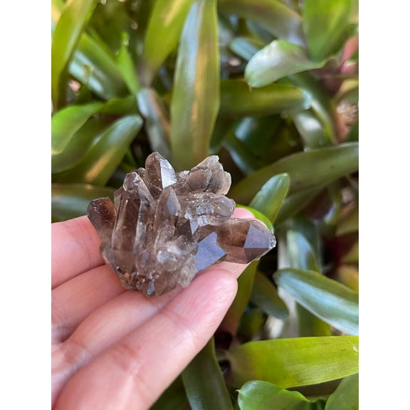 Smoky Quartz Crystal Cluster, 1"-2" Smoky Quartz Geode