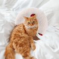 thumbnail image 4 of Mascota cuello almohada cojín cama relleno masticar juguete felpa para Zulema  Almohada de mascotas, 4 of 8