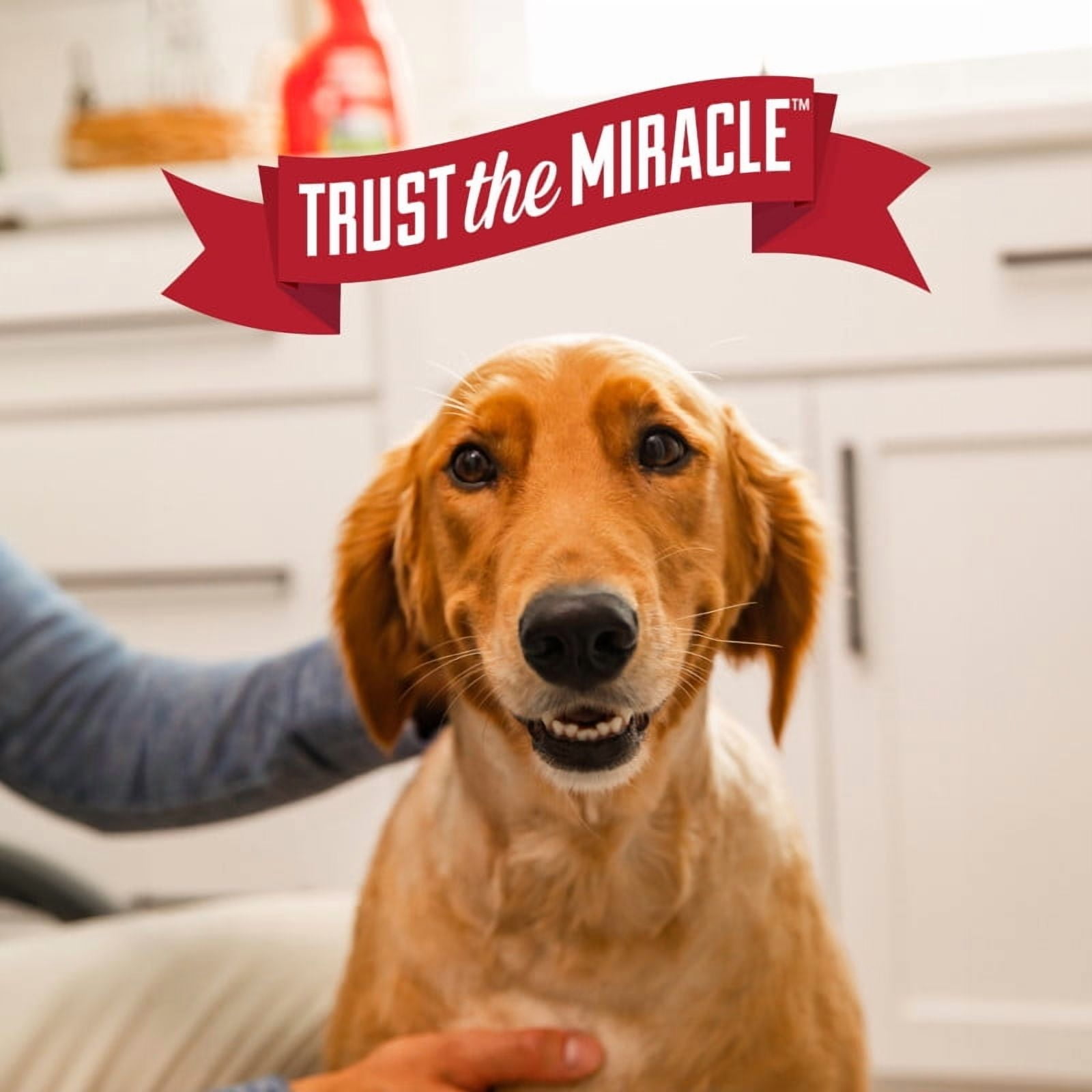 Nature’s Miracle Advanced Stain and Odor Eliminator Dog, 17.5 Ounces, Foam Aerosol, Fresh Scent, Severe Mess Enzymatic Formula For Tough Pet Messes