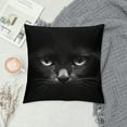 thumbnail image 2 of COMIO  Throw Pillow Cover Black Cat Cute Face Lovely Animal Cool Kitten Kitty Eye Pattern Fashion Adorable Pet Decor Lumbar Pillow Case Cushion for Sofa Couch Bed Standard Queen, 2 of 5