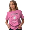 thumbnail image 3 of Cute Vermont Green Mountain State Women's Graphic T Shirt Tees Brisco Brands L, 3 of 6