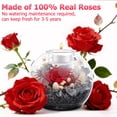 thumbnail image 4 of Preserved Roses in Glass Dome, Artificial Flowers with Scented Candles, Birthday Gifts for Her, Romantic Gifts for Women, Wife, Girlfriend on Birthday, Wedding Anniversary, Thanksgiving Day, Red, 4 of 10