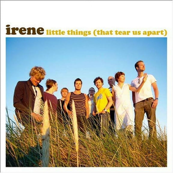 Irene - Little Things That Tear Us Apart - Rock - CD