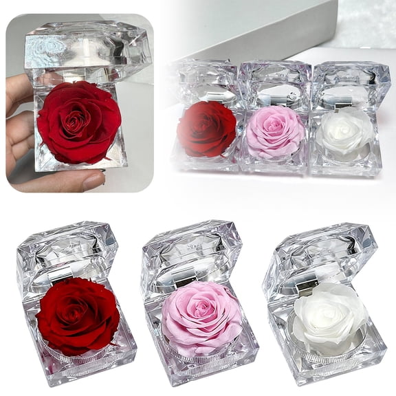Preserved Flowers in A Ring Preserved Flower Rose Box Decorative Jewelry Box Preserved Flower Box Acrylic Jewelry Storage Box for Valentine's Day Wedding Supply Mothers Day Decorations