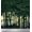 Dark Green, variant on Soimoi Velvet Fabric Tree Nature Decor Fabric Printed Yard 58 Inch Wide