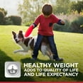 Hill's Science Diet Adult Perfect Weight Chicken Recipe Dry Dog Food, 4