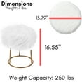 thumbnail image 2 of BirdRock Home Round White Faux Fur Foot Stool Storage Ottoman with Pale Gold Legs, 2 of 5