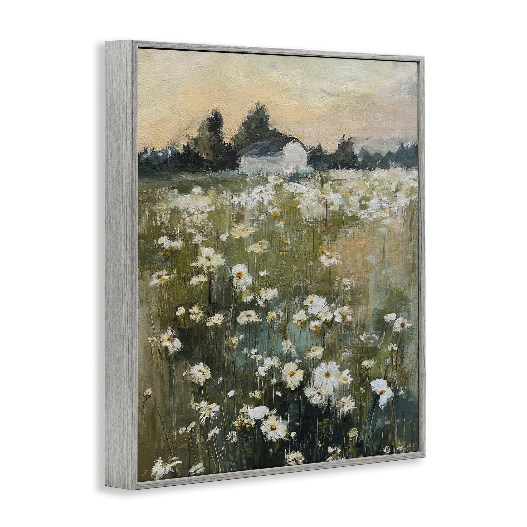 Stupell Industries Expressive Endless Daisies Gray Framed Giclee Art, design by Svetlana Aleynikova