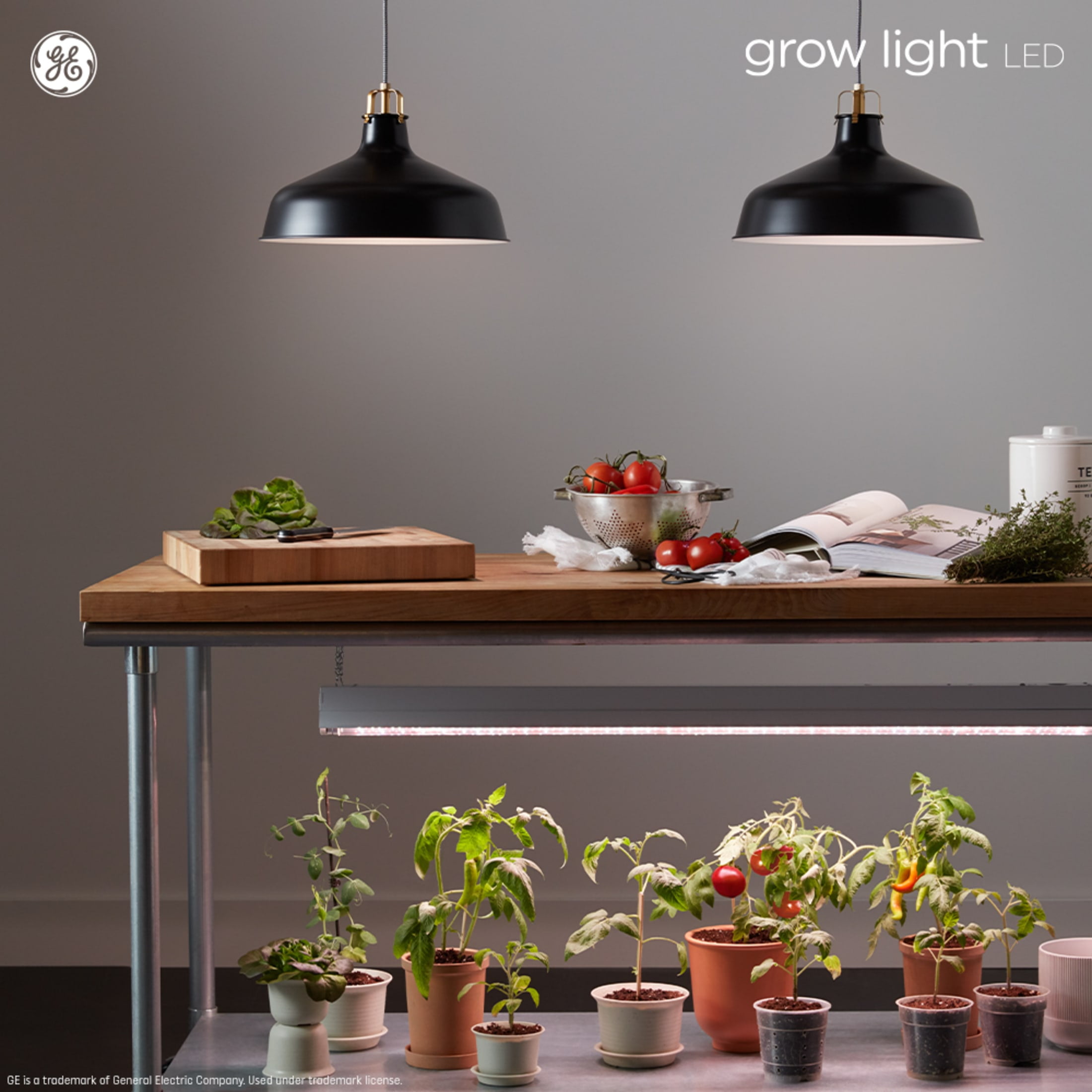 GE Grow LED Light Bulbs for Fruits and Flowers BR30 Indoor