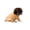 Brown, variant on 7.5x5.9in Pet Cute Wig, Short Hair Dog Costume Accessory, Funny Dress-Up Hairpiece for Puppy Photo Prop Party Cosplay