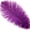 Purple, variant on Ostrich Feathers 9-12" Drabs - Yellow