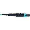 thumbnail image 4 of Tripp Lite 5M (16ft) 12 Fiber 40GbE OM3 Plenum-Rated MTP/MPO Patch Cable - Aqua, 4 of 4
