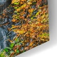 thumbnail image 3 of Epic Art 'Smoky Mountains Autumn Waterfall 2' by Grace Fine Arts Photography, Acrylic Glass Wall Art, 12"x16", 3 of 8