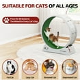 thumbnail image 3 of Coziwow 31.5" Cat Treadmill, Exercise Running Wheel with Nonslip Carpet, Cat Teaser for Indoor Cats, Gray, 3 of 8