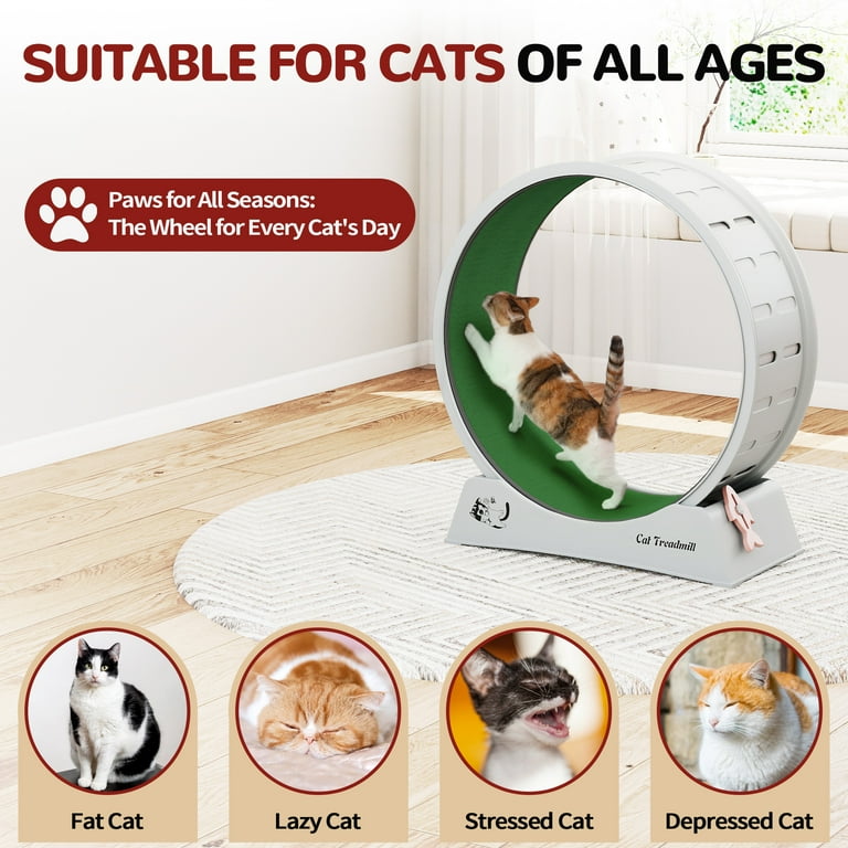 Tapis De Course Interieur Cat Treadmill, Novelfun Large Cat