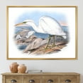 thumbnail image 2 of Designart 'Ancient Australian Birds XIII' Traditional Framed Canvas Wall Art Print, 2 of 5