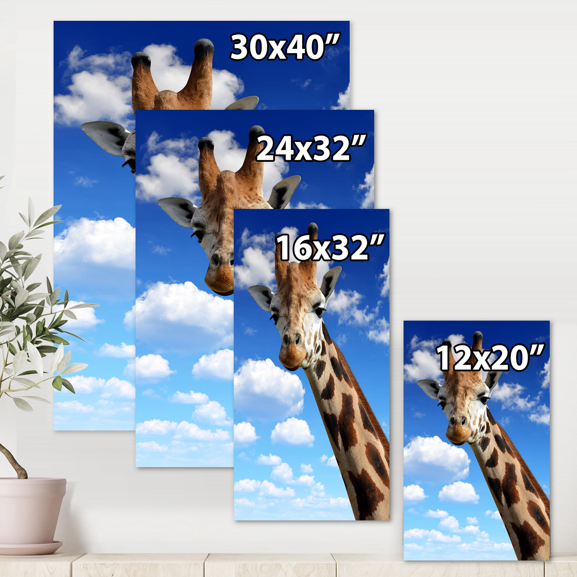 Designart ' A Giraffe On A Blue Sky Portrait ' Farmhouse Canvas Wall Art Print
