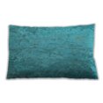 thumbnail image 1 of Ahgly Company Indoor Rectangular Contemporary Lumbar Throw Pillow, 13 inch by 19 inch, 1 of 5