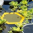 thumbnail image 3 of Isla flotante de abejas,Isla flotante de abejas impresa,Copas de abejas para el jardín,Isla flotante de abejas para beber 2 piezas, 3 of 5