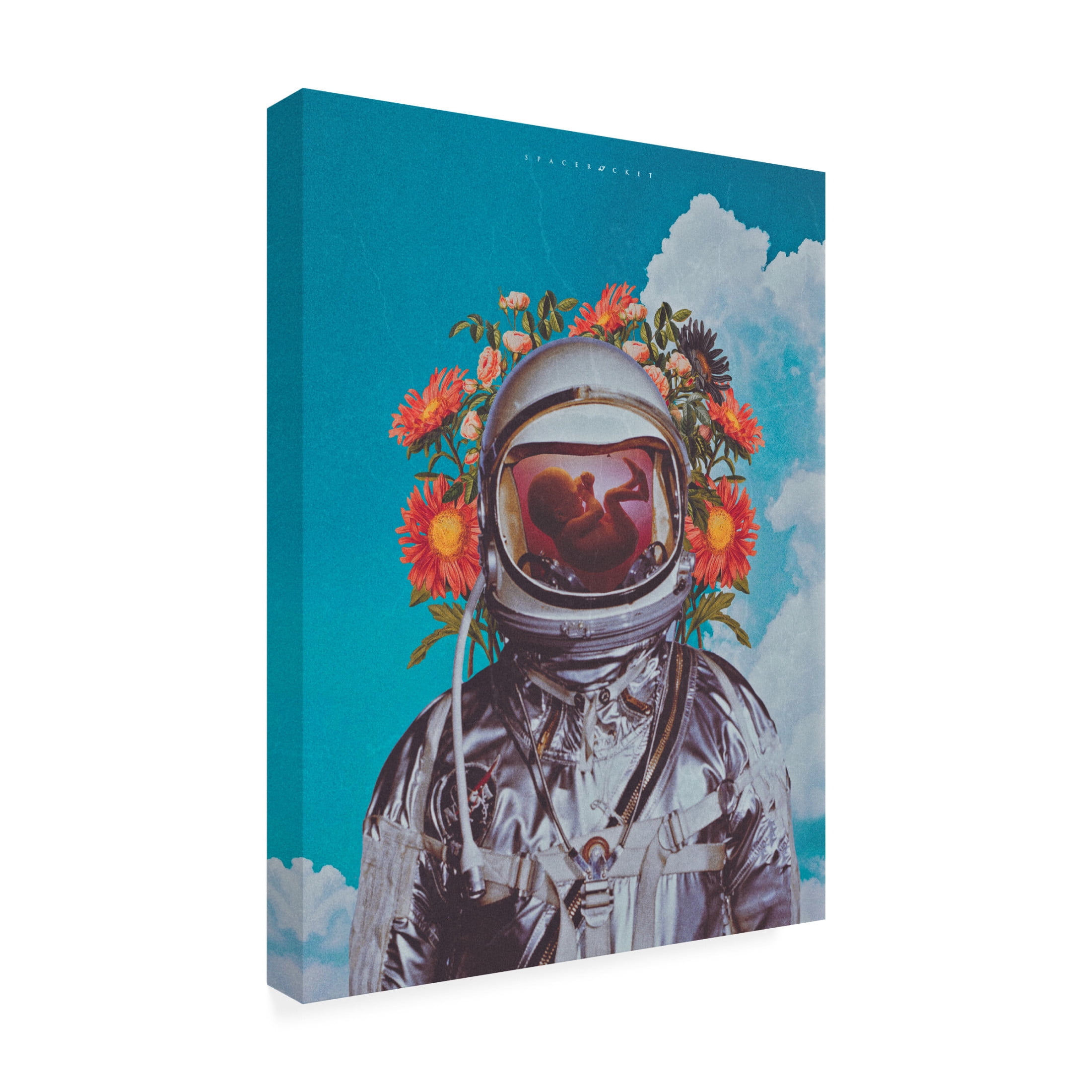 Trademark Fine Art spacerocket art 191 Canvas Wall Art