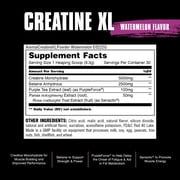 Universal Nutrition Animal Creatine XL Powder - Watermelon - 30 Servings