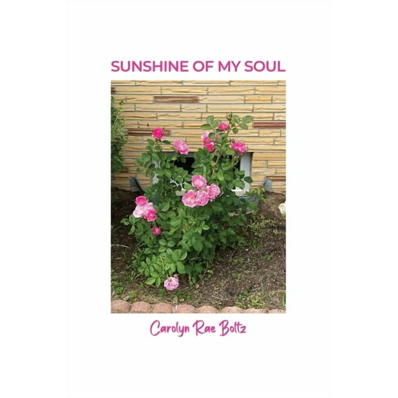 Sunshine of My Soul (Paperback)