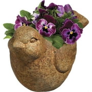 Classic Home 9 x 5 x 5.5 Bird Rust Cement Indoor Planter